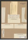 Actinocyclus elongatus Grun. (de-Toni-Nr.: Genus 195, Species 4792) Zeichnungen Sammlung Grunow Nr. 8438 (NHMW-BOT-W0377890)